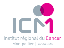 ICM