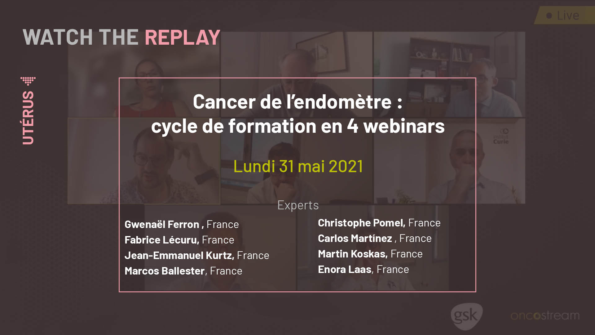 Cancer de l’endomètre : cycle de formation en 4 webinars