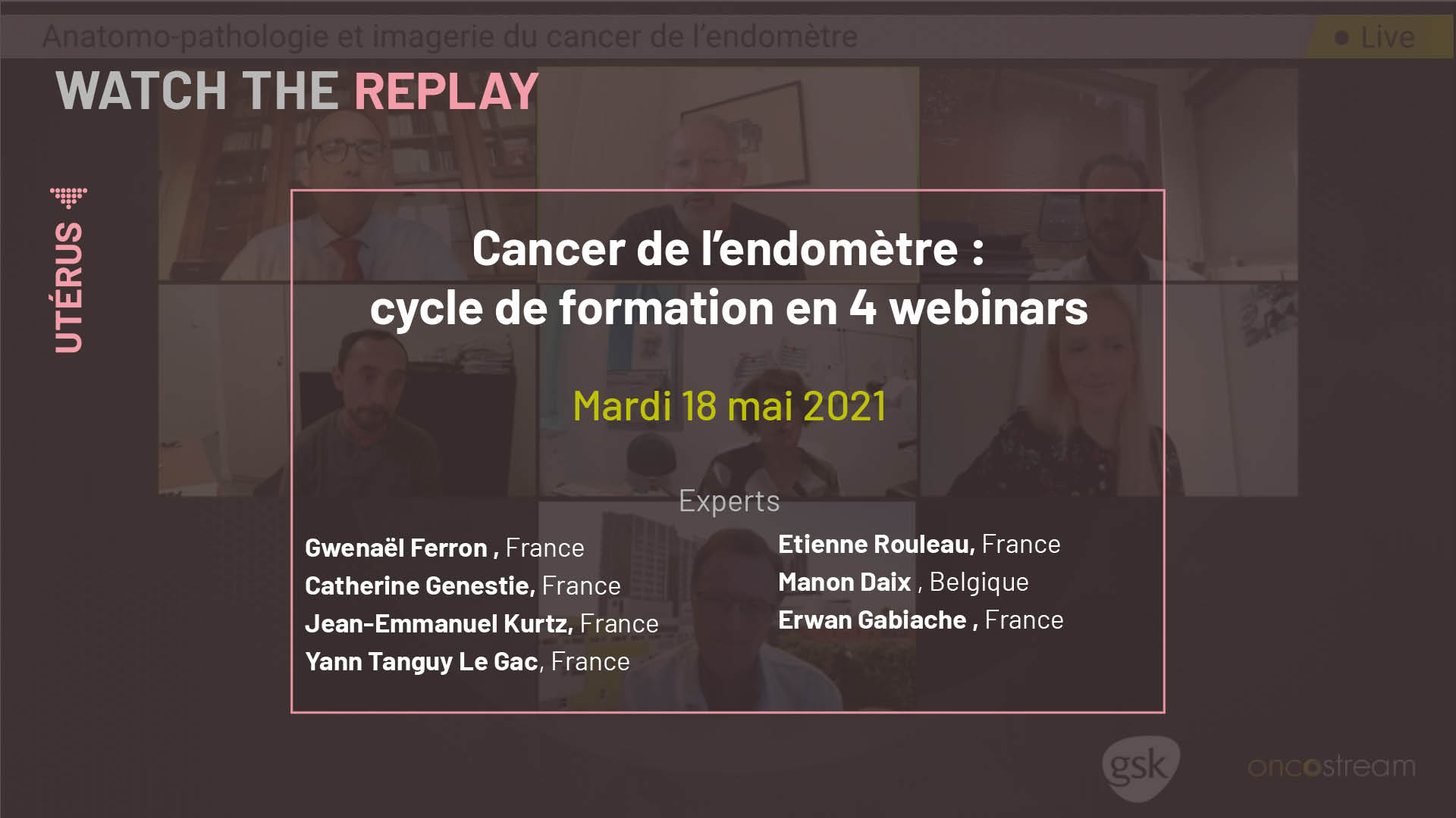 Cancer de l’endomètre : cycle de formation en 4 webinars